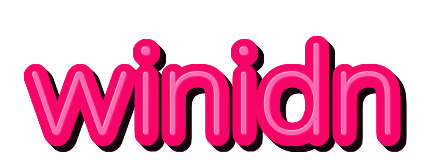 winidn — logo kanal